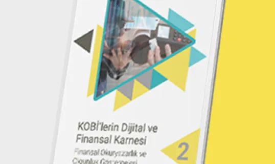 Paynet Kobi Araştırması