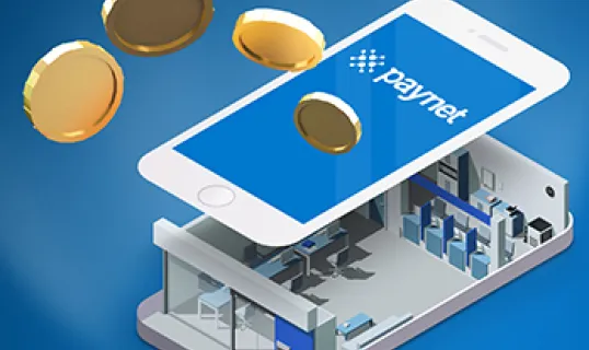 paynet ne gibi hizmetler sunuyor